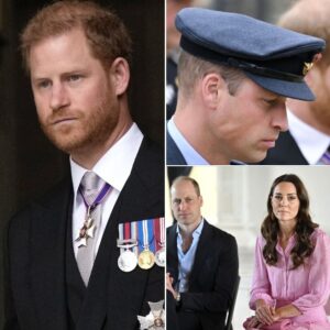 Prince William’s response to Prince Harry after Kate message was not “warm” or “informal” claims expert