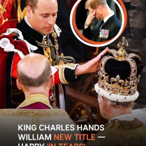 ‘In Tears’: Prince Harry’s Reaction to Brother Prince William Receiving New Title from King Charles Reported