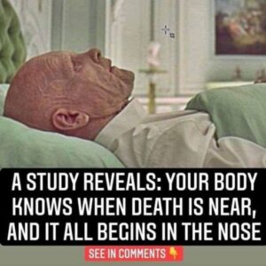 A Study Reveals Your Body Knows When Death Is Near, And It All Begins In The Nose